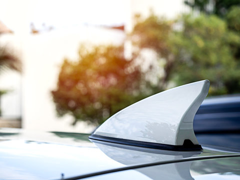 Antenna Shark Fin Shape White Color Decorate On Car Roof.