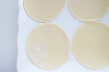 Chinese dumpling, jiozi dough on dish for prepared food image