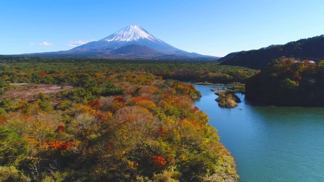 青木が原樹海と富士山空撮