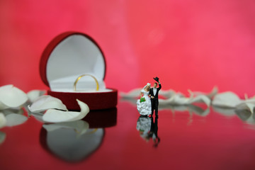 Miniature photography - garden flower / outdoor wedding concept, bride and groom walking on shiny floor with white rose petal, including red heart shape ring box