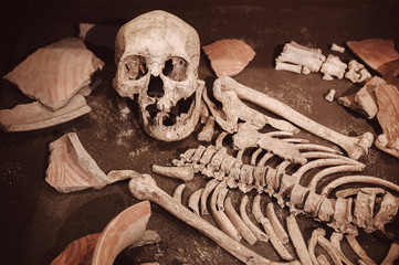 Ancient human bones in Ban Chiang Museum, Udon Thani - Thailand