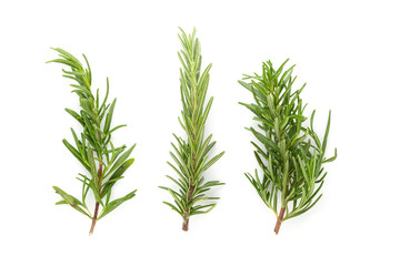 Fresh rosemary isolated on a white background.