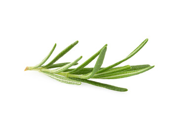 Fototapeta premium Fresh rosemary isolated on a white background.