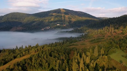 Top view of colorful mixed forest shrouded in morning fog on a beautiful autumn day