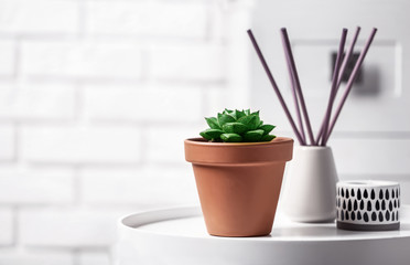 Beautiful succulent on white table against brick wall, space for text. Home plant
