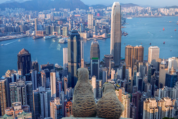 Meerkat looking in Hong Kong city View