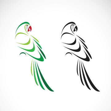 Vector of a parrot design. Animals. Parrot icon or logo. 
