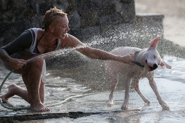 Woman with white Dogo Argentino