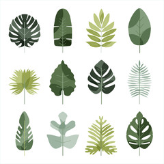 Green tropical leaves icon set. leaf design for banner and packaging background.