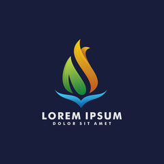 Fire logo colorful design vector