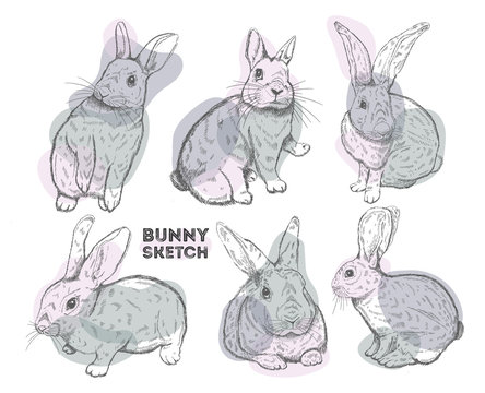 Rabbit set ink hand drawn.Bunny sketch style,isolated in white background..