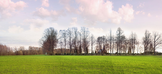 Panoramic view of a cemetery in the early winter without snow