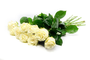 Obraz na płótnie Canvas Bouquet of beautiful cream roses isolated on white background