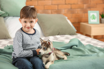 Obraz premium Little boy with cute husky puppy in bedroom