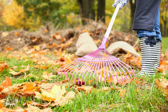 Woman cleaning up autumn leaves outdoors