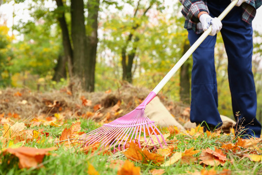 Man cleaning up autumn leaves outdoors