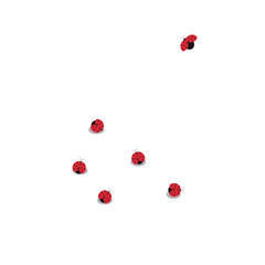 Ladybugs crawl and fly. Isolated against a white background. Stok vector graphics