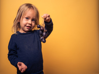 Little toddler holding a bunch of grapes