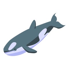 Orca whale icon. Isometric of orca whale vector icon for web design isolated on white background