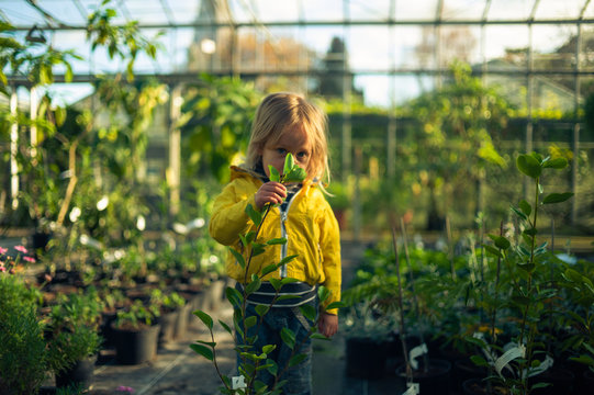 Little toddler holding plant in a garden center