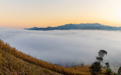 Naklejka na ściany i meble Misty landscape with autumn mountain hill