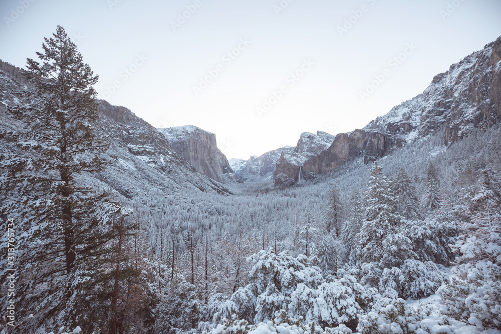 Poster winter in yosemite