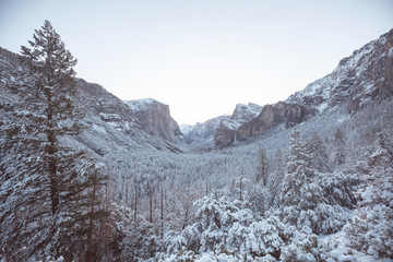 Winter in Yosemite