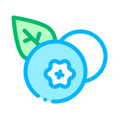 Healthy Food Fruit Blueberry Vector Sign Icon Thin Line. Bio Eco Sweet Berry Blueberry With Leaf Linear Pictogram. Organic Healthcare Vitamin Delicious Nutrition Contour Illustration