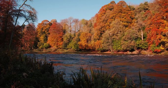 Wonderful 4K vdeo of Boyne valley, river and surroundings in bright colors of golden autumn, Co. Meath, Ireland