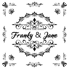 Text separator decoratice divider book typography ornament design elements vintage dividing shapes Border illustration