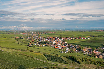 Blick über den Pfälzer Wald nach Grünstadt