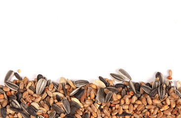 Birdfood - Mixed seeds, grain, nuts and corn