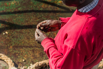 A person standing on a green metal surface is holding a single peanut in his hands. Picture from above.