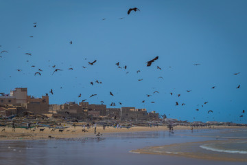 View over the sand beach in Yoff, Dakar. Beach filled with local boats pirogues and birds flying over the blue sky looking for dead fish on the shore.