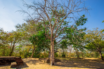 The blurry nature background of the Wat Saphan Hin walkway has long, stone bridges on a hill, with tourists coming to see the beauty in Sukhothai, Thailand.