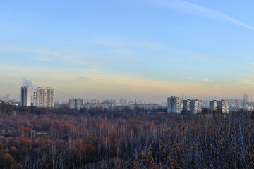Obraz premium View of a big city from a city park in late autumn on a clear day
