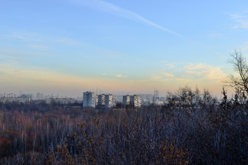 View of a big city from a city park in late autumn on a clear day