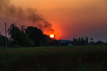 The blurred natural background of the sun is reversing the horizon of the day and the beautiful orange light of the sky.