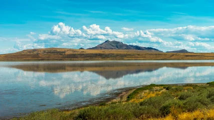 Fototapeten Antilope Antelope Island Great Salt Lake State Park, Utah  © Anna Photography