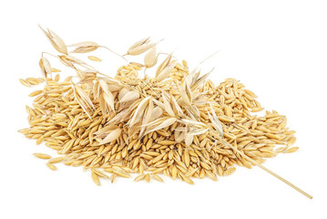 Pile of oats grains and oats ear isolated on a white background, front view.