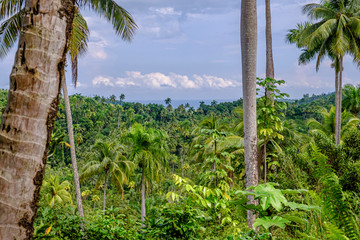 Humboldt national park in Cuba