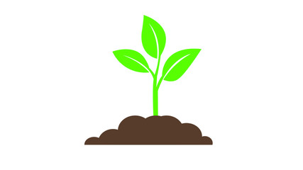 Seedling icon. Plant symbol. Sprout from the ground. Flat style	