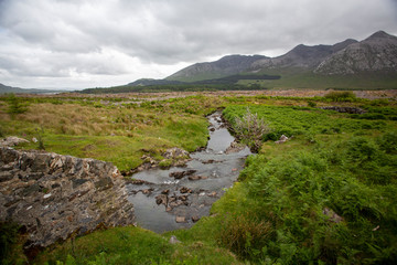 Fields of Connemara, Ireland