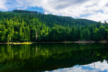 Fototapeta na wymiar mountain lake in summertime. great outdoor nature scenery. coniferous forest with tall trees on the shore reflecting in clear water. deep blue sky with clouds. beautiful landscape