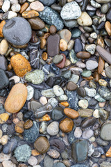 sea pebbles on a rocky beach in Sunny summer day