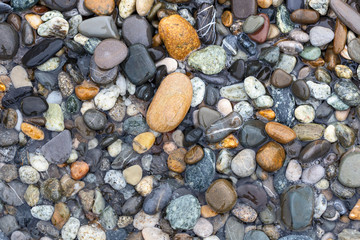 sea pebbles on a rocky beach in Sunny summer day
