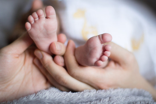 Parents Holding Baby's Feet. Cute Baby Toes Held By Loving Parent;s Hand. Ten Baby Toes Held Lovingly By Parent's Fingers. Mother's Baby.