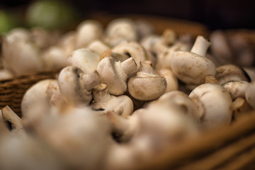 Mushrooms on the shop counter.