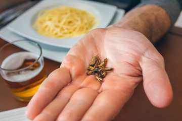 Man's hand showing a handful of crickets ready to eat