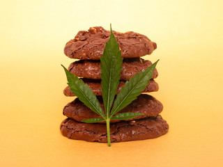 Medicinal Edibles Cookies with Marijuana. cannabis leaf and chocolate chip cookies with nuts. food with recreational drug.